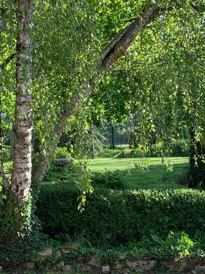 Bed and Breakfast Moulin De Champrond -Montmirail -Sarthe Exterior foto