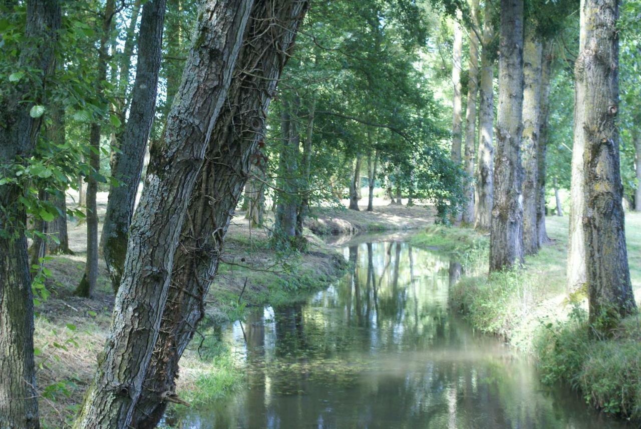 Bed and Breakfast Moulin De Champrond -Montmirail -Sarthe Exterior foto