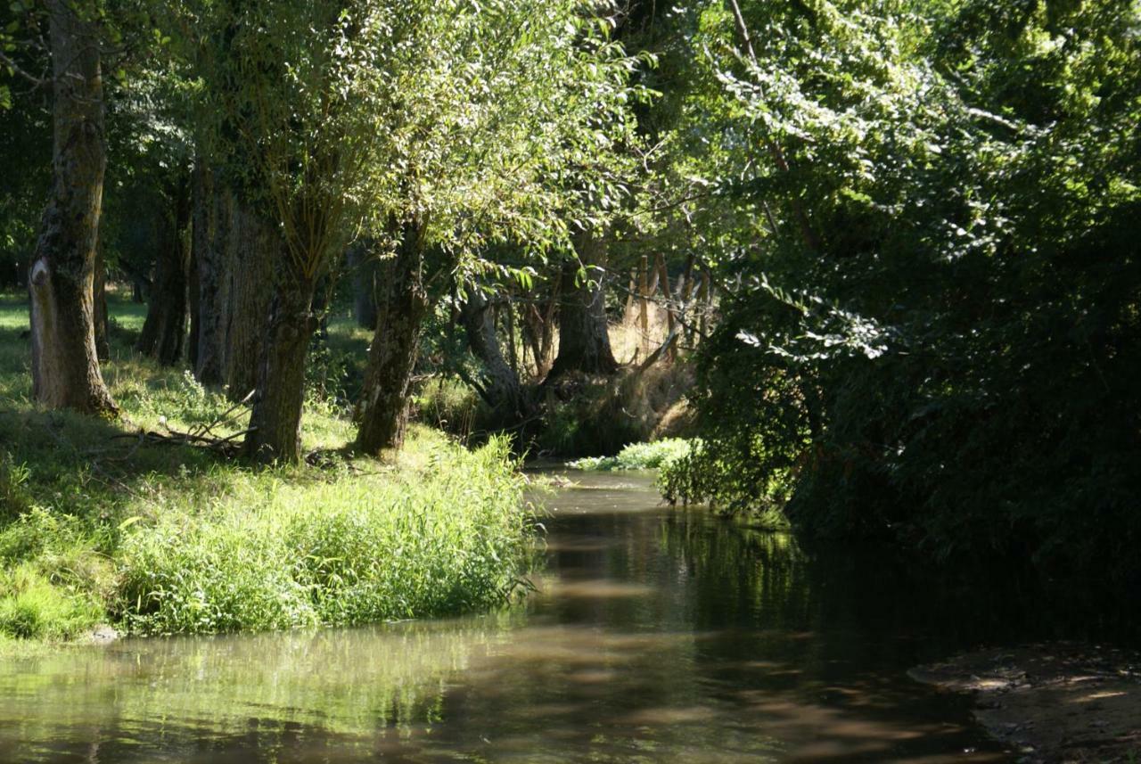 Bed and Breakfast Moulin De Champrond -Montmirail -Sarthe Exterior foto