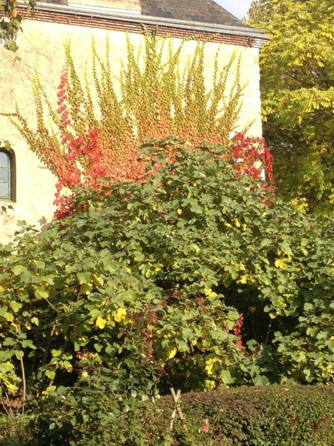 Bed and Breakfast Moulin De Champrond -Montmirail -Sarthe Exterior foto