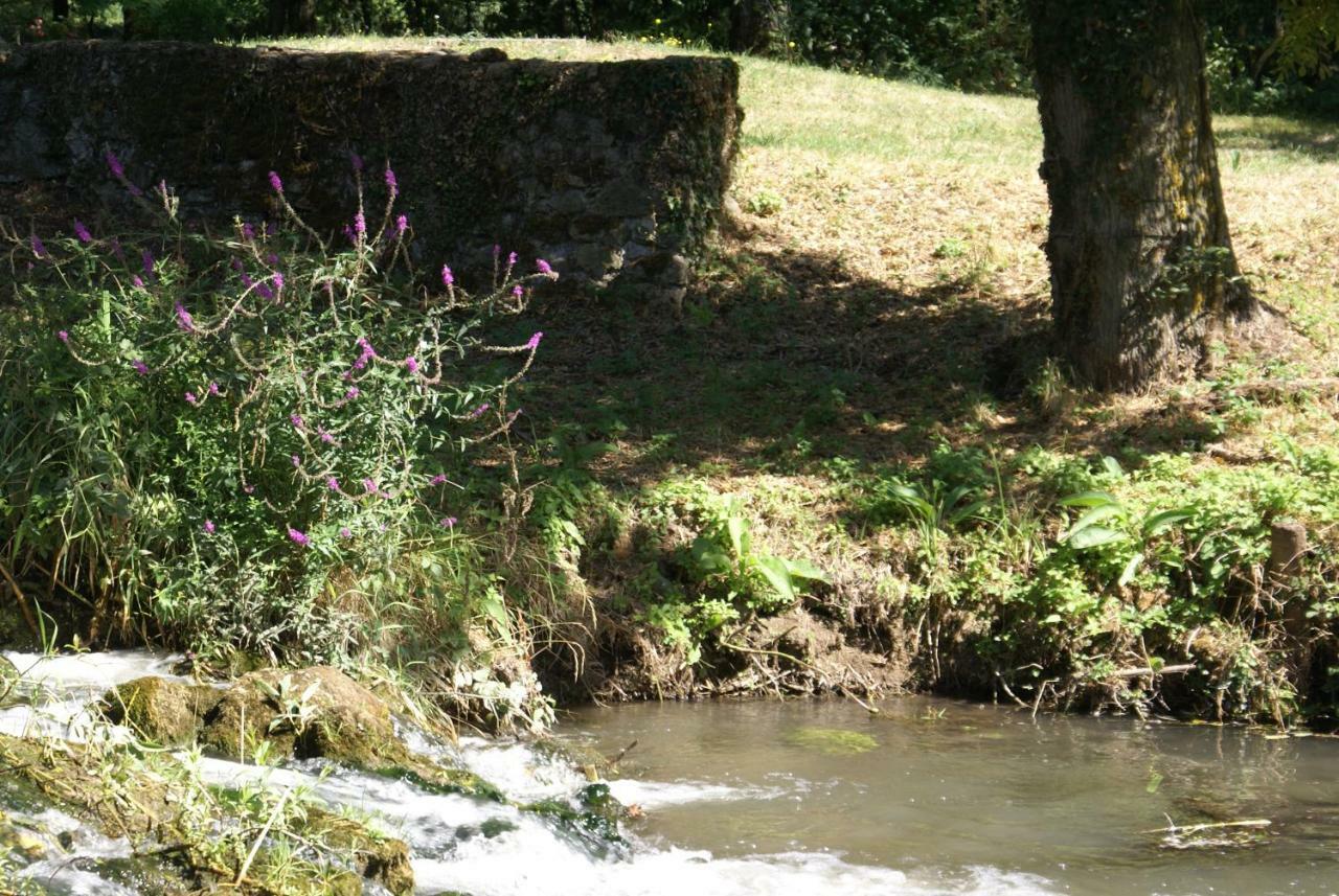 Bed and Breakfast Moulin De Champrond -Montmirail -Sarthe Exterior foto